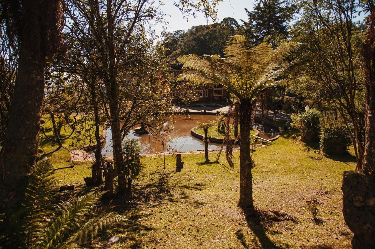 BusHome Gramado uma casa sobre rodas Hospedagem Ônibus Extérieur photo